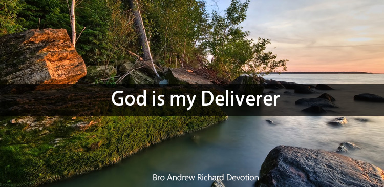 God is portrayed as a mighty Saviour of His people in this particular scripture. God says that He will deliver His children who have been treated as prey. He will take on or deal with the enemy who fights with us and will save us from his hands. 